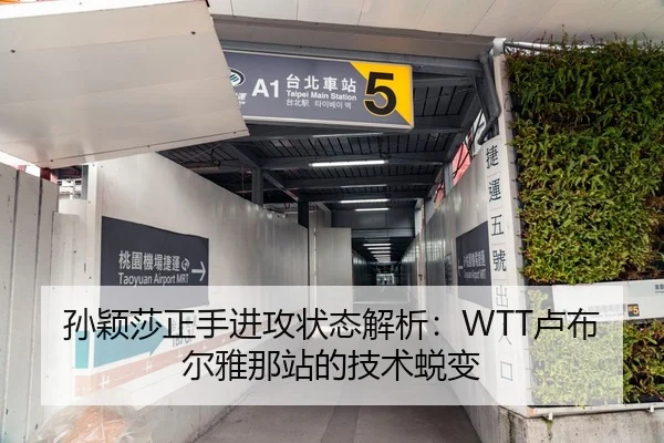 孙颖莎正手进攻状态解析：WTT卢布尔雅那站的技术蜕变