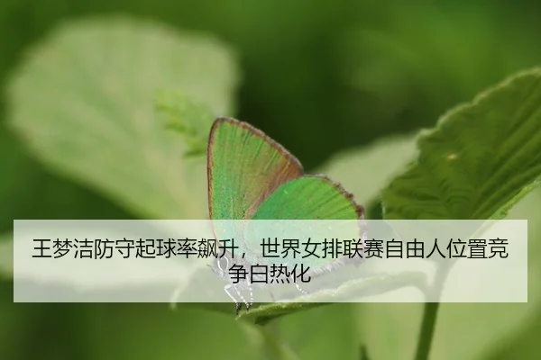 wang-meng-jie-fang-shou-qi-qiu-lv-biao-sheng-shi-jie-nv-pai-lian-sai-zi-you-ren-wei-zhi-jing-zheng-bai-re-hua-3-597.jpg